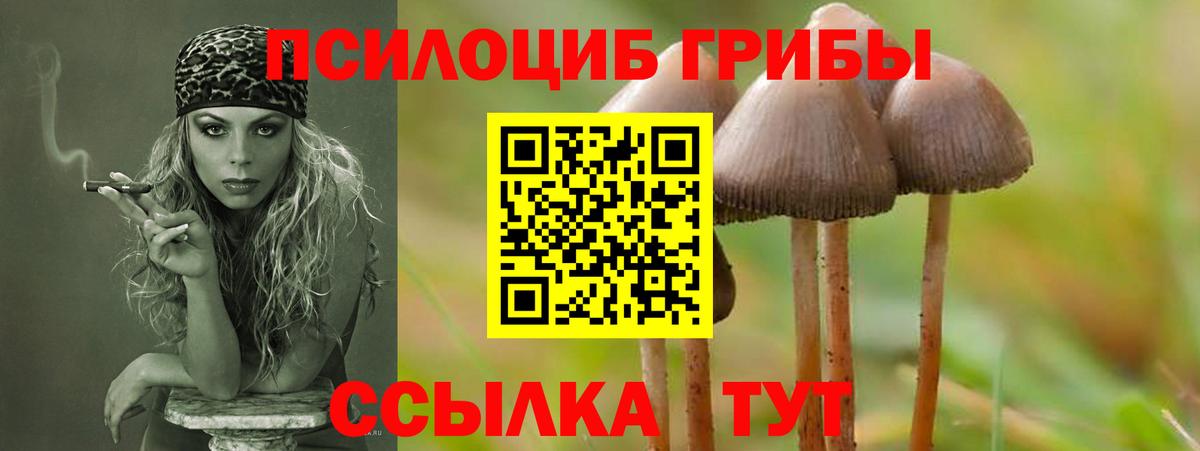 Псилоцибиновые грибы прущие грибы Екатеринбург